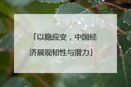 以稳应变，中国经济展现韧性与潜力