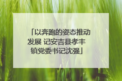 以奔跑的姿态推动发展 记安吉县孝丰镇党委书记沈强