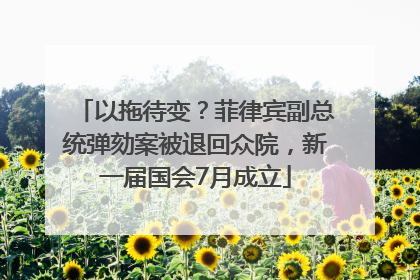 以拖待变？菲律宾副总统弹劾案被退回众院，新一届国会7月成立