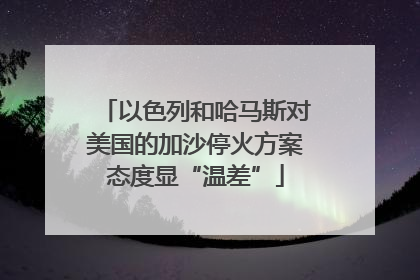 以色列和哈马斯对美国的加沙停火方案态度显“温差”