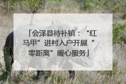 会泽县待补镇：“红马甲”进村入户开展“零距离”暖心服务