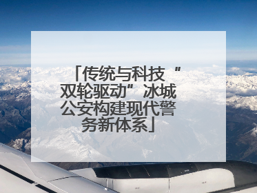 传统与科技“双轮驱动”冰城公安构建现代警务新体系