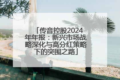 传音控股2024年年报：新兴市场战略深化与高分红策略下的突围之路