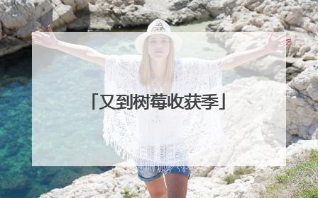 又到树莓收获季