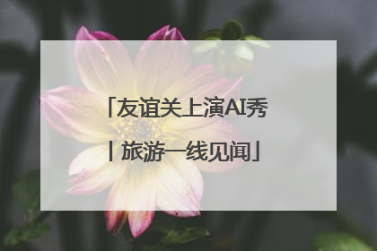 友谊关上演AI秀丨旅游一线见闻