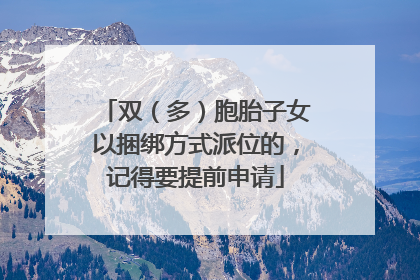 双（多）胞胎子女以捆绑方式派位的，记得要提前申请