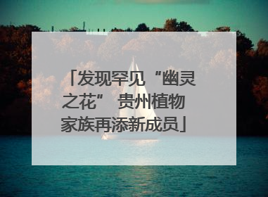 发现罕见“幽灵之花” 贵州植物家族再添新成员