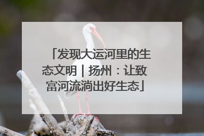 发现大运河里的生态文明｜扬州：让致富河流淌出好生态