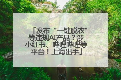 发布“一键脱衣”等违规AI产品？涉小红书、哔哩哔哩等平台！上海出手