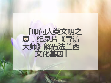 叩问人类文明之思，纪录片《寻访大师》解码法兰西文化基因