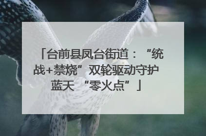 台前县凤台街道：“统战+禁烧”双轮驱动守护蓝天 “零火点”