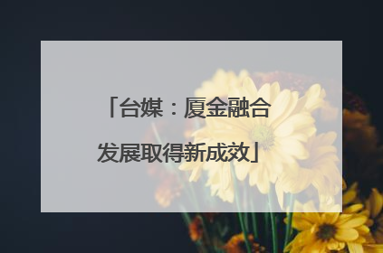 台媒：厦金融合发展取得新成效