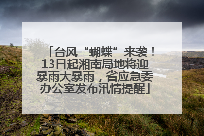 台风“蝴蝶”来袭！13日起湘南局地将迎暴雨大暴雨，省应急委办公室发布汛情提醒