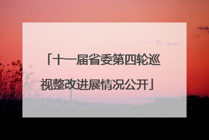十一届省委第四轮巡视整改进展情况公开