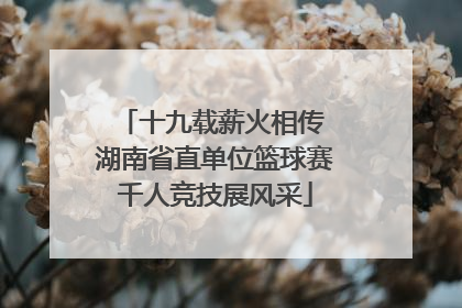 十九载薪火相传 湖南省直单位篮球赛千人竞技展风采