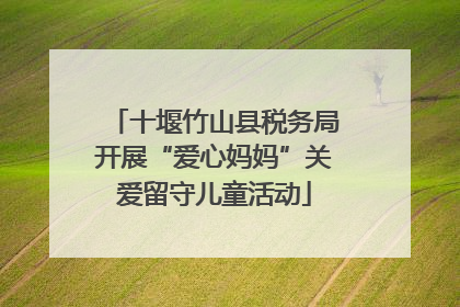 十堰竹山县税务局开展“爱心妈妈”关爱留守儿童活动