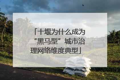 十堰为什么成为“黑马型”城市治理网络维度典型