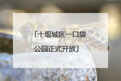 十堰城区一口袋公园正式开放
