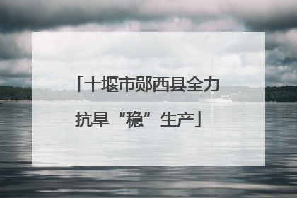 十堰市郧西县全力抗旱“稳”生产