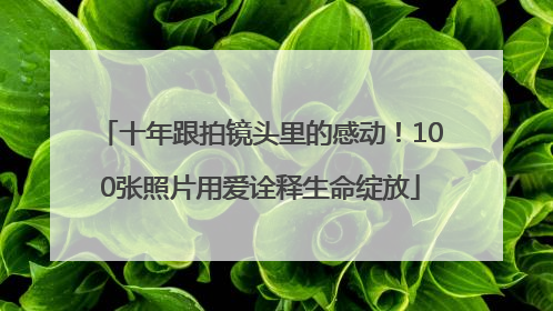 十年跟拍镜头里的感动！100张照片用爱诠释生命绽放