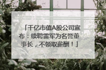 千亿市值A股公司宣布：续聘雷军为名誉董事长，不领取薪酬！