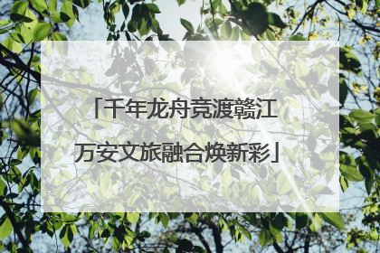千年龙舟竞渡赣江 万安文旅融合焕新彩