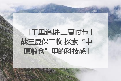 千里追耕·三夏时节丨战三夏保丰收 探索“中原粮仓”里的科技感
