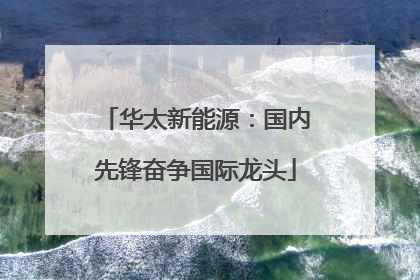 华太新能源：国内先锋奋争国际龙头