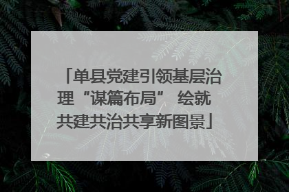 单县党建引领基层治理“谋篇布局” 绘就共建共治共享新图景