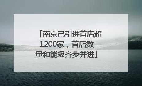 南京已引进首店超1200家，首店数量和能级齐步并进