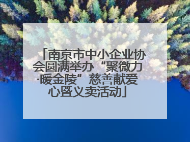 南京市中小企业协会圆满举办“聚微力·暖金陵”慈善献爱心暨义卖活动