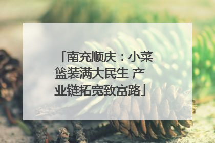 南充顺庆：小菜篮装满大民生 产业链拓宽致富路
