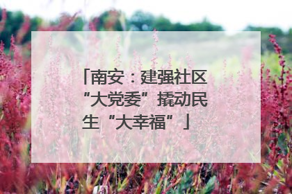 南安：建强社区“大党委”撬动民生“大幸福”