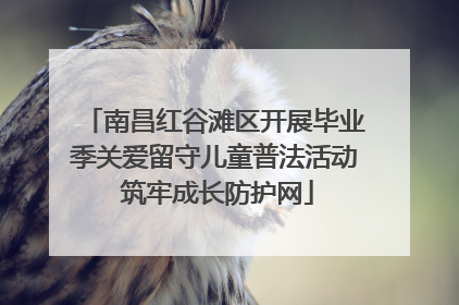 南昌红谷滩区开展毕业季关爱留守儿童普法活动 筑牢成长防护网