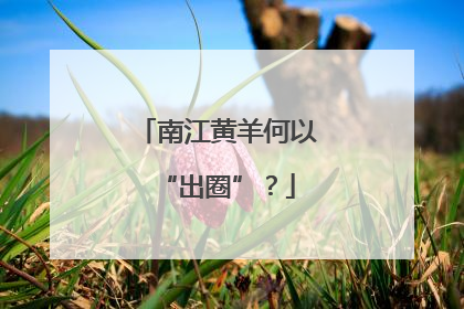 南江黄羊何以“出圈”？