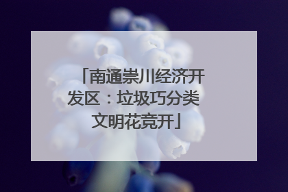 南通崇川经济开发区：垃圾巧分类 文明花竞开
