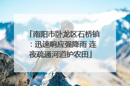 南阳市卧龙区石桥镇：迅速响应强降雨 连夜疏通河道护农田