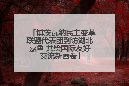 博茨瓦纳民主变革联盟代表团到访湖北嘉鱼 共绘国际友好交流新画卷