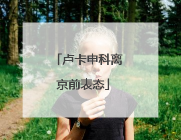 卢卡申科离京前表态