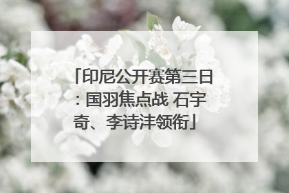 印尼公开赛第三日：国羽焦点战 石宇奇、李诗沣领衔