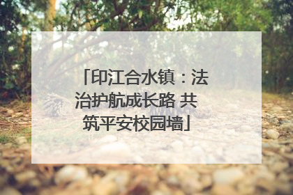 印江合水镇：法治护航成长路 共筑平安校园墙