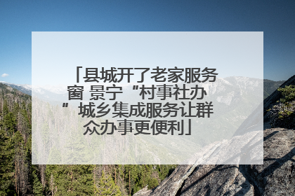 县城开了老家服务窗 景宁“村事社办”城乡集成服务让群众办事更便利