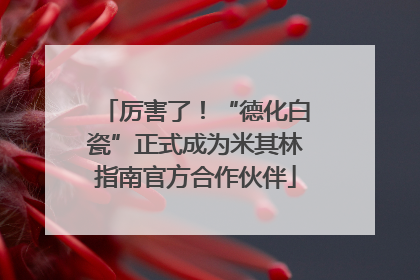 厉害了！“德化白瓷”正式成为米其林指南官方合作伙伴