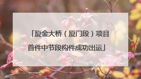 厦金大桥（厦门段）项目首件中节段构件成功出运