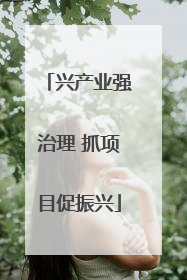 兴产业强治理 抓项目促振兴