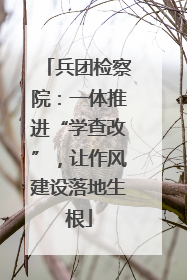兵团检察院：一体推进“学查改”，让作风建设落地生根