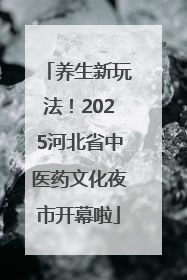 养生新玩法！2025河北省中医药文化夜市开幕啦