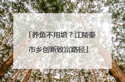 养鱼不用塘？江陵秦市乡创新致富路径