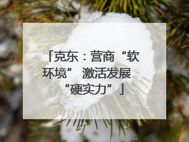 克东：营商“软环境” 激活发展“硬实力”