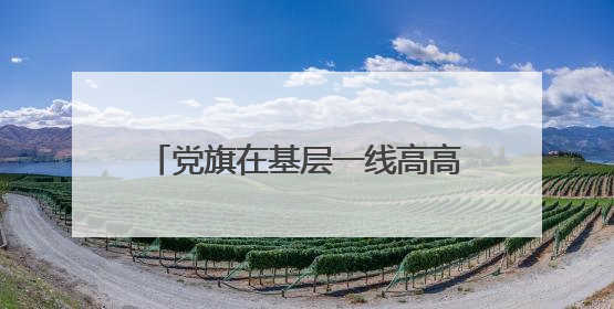 党旗在基层一线高高飘扬丨“去有村的地方”——湖南有一群青年党员这样选择